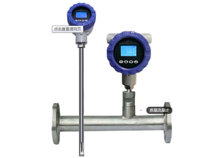 气体质量流量计