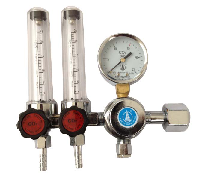 二氧化碳双管流量计减压器YQC-03L型_临海市大华仪表_配件产品_阿仪网