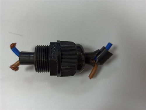 密封防水葛兰头的应用及其在国深电子气体仪表中的重要性