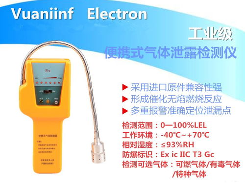 便携式气体检漏仪 工业安全的关键仪表