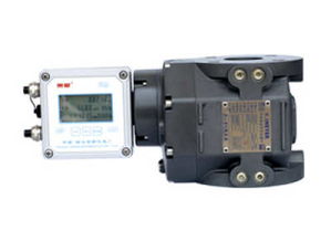 艾美特罗茨流量计 高精度气体仪表的技术与应用